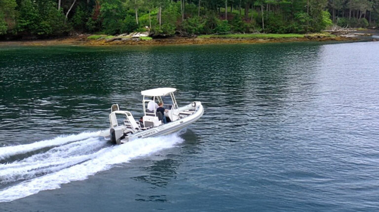 The Flux Marine Highfield Sport 660 Electric cruises across a lake with a shallow beach and tress in the background