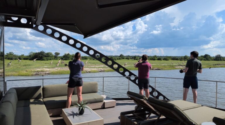 UCL and RAD publish study on electric motor technology and marine life UCL and RAD publish study on electric motor technology and marine life